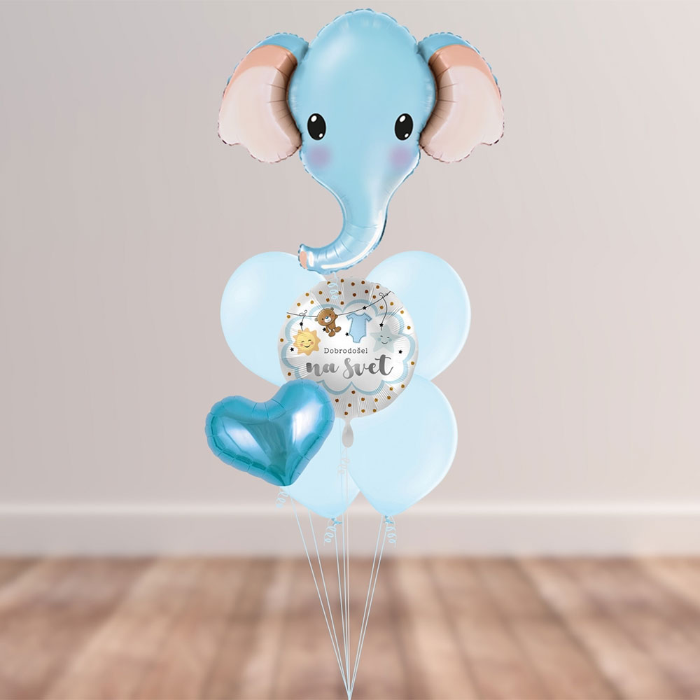 Balonski šopek Dobrodošel na svet