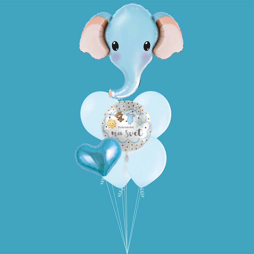 Balonski šopek Dobrodošel na svet