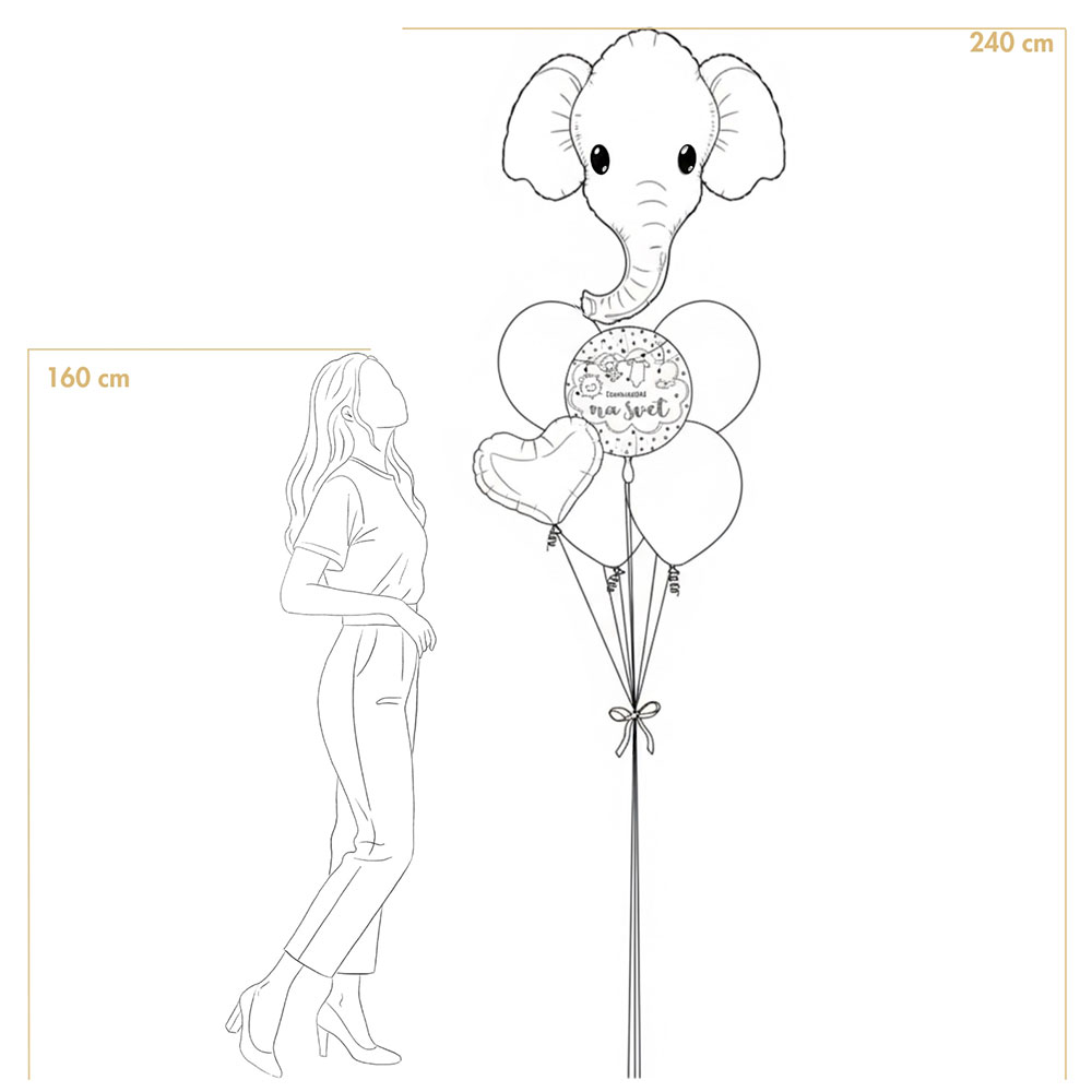 Balonski šopek Dobrodošel na svet